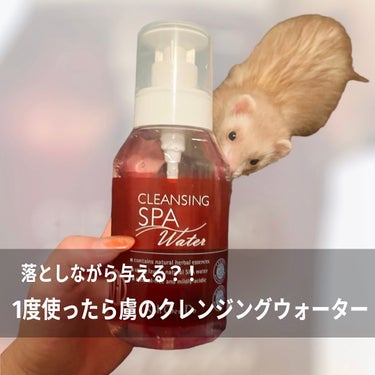 クレンジングウォーター ポンプヘッドタイプ 380ml/Koh Gen Do/クレンジングウォーターを使ったクチコミ（1枚目）