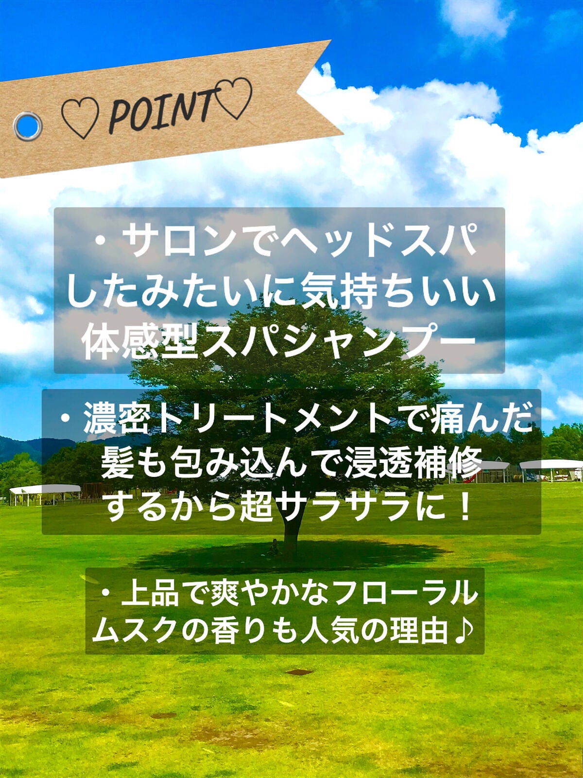 シャンプー/トリートメント SN さらさら/CLAYGE/シャンプー・コンディショナーを使ったクチコミ(4枚目)