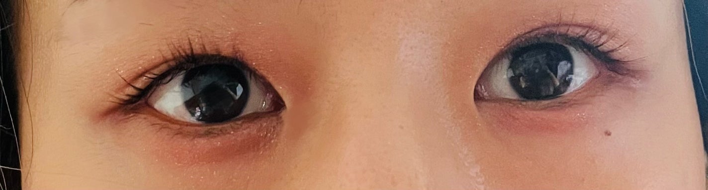 シャドーカスタマイズ/MAJOLICA MAJORCA/単色アイシャドウを使ったクチコミ(5枚目)