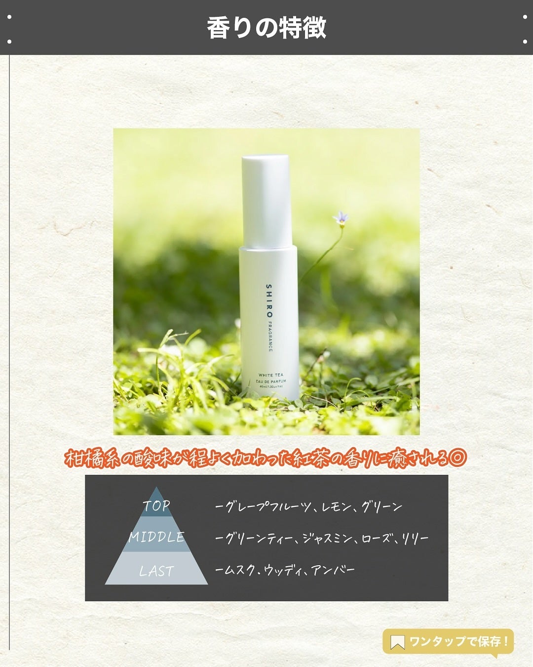 エスログ┊1日1分のモテ香水紹介 on LIPS 「.『シロ香水一番人気』🌳製品情報🌳SHIROホワイトティーオー..」(3枚目)