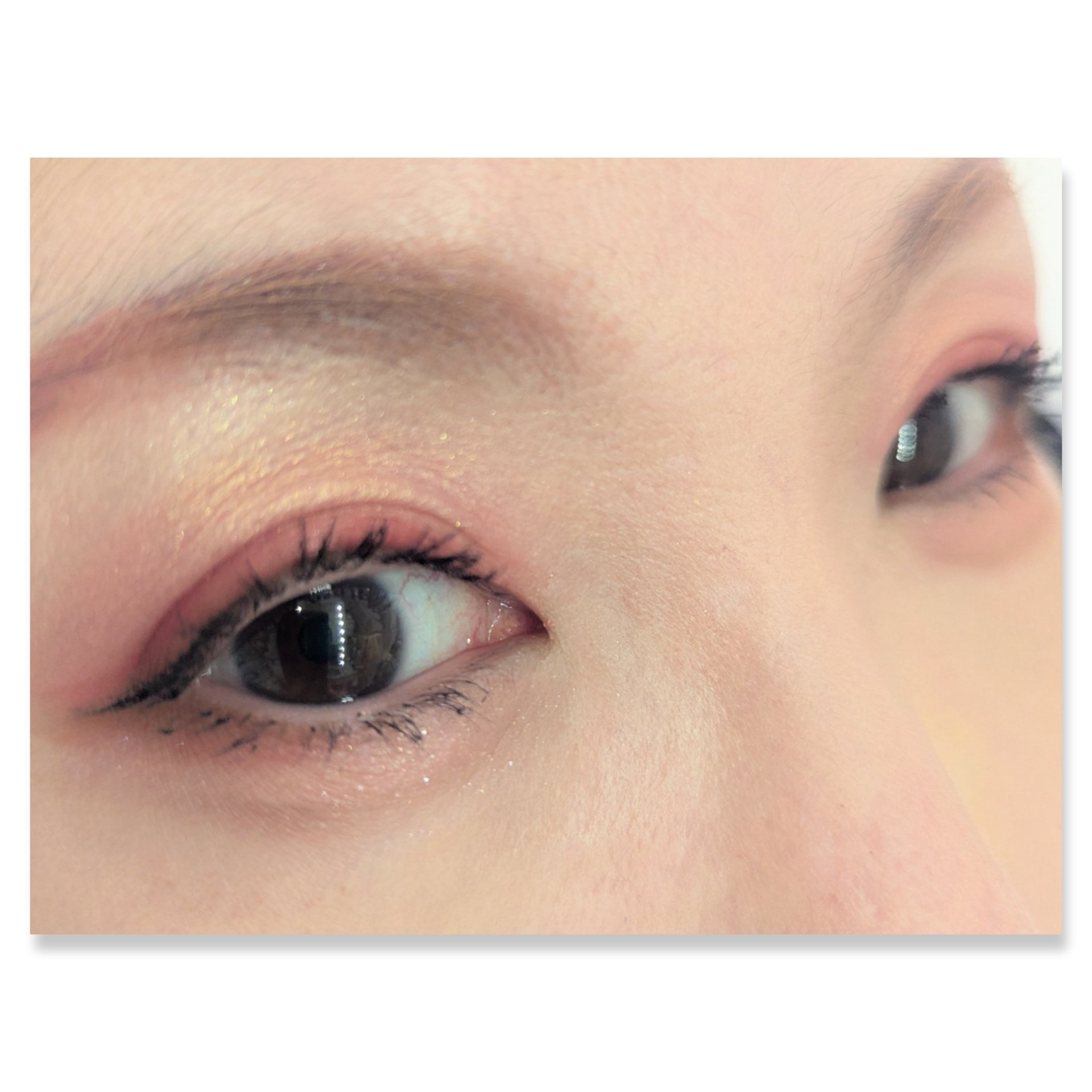 カラーステイ ルックス ブック パレット/REVLON/アイシャドウパレットを使ったクチコミ（2枚目）