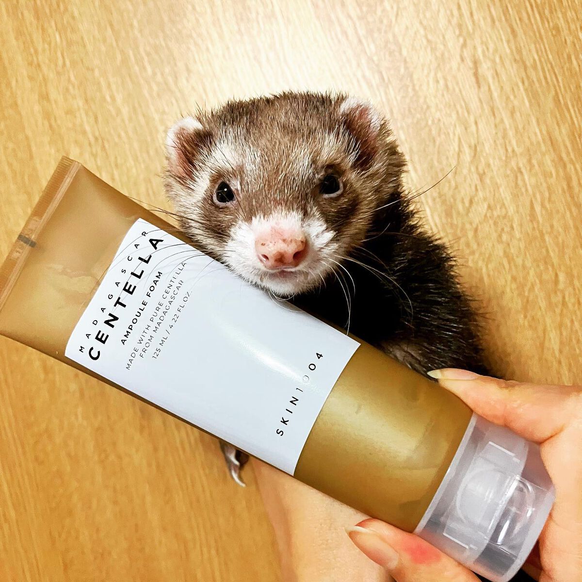 センテラ アンプルフォーム/SKIN1004/洗顔フォームを使ったクチコミ(3枚目)