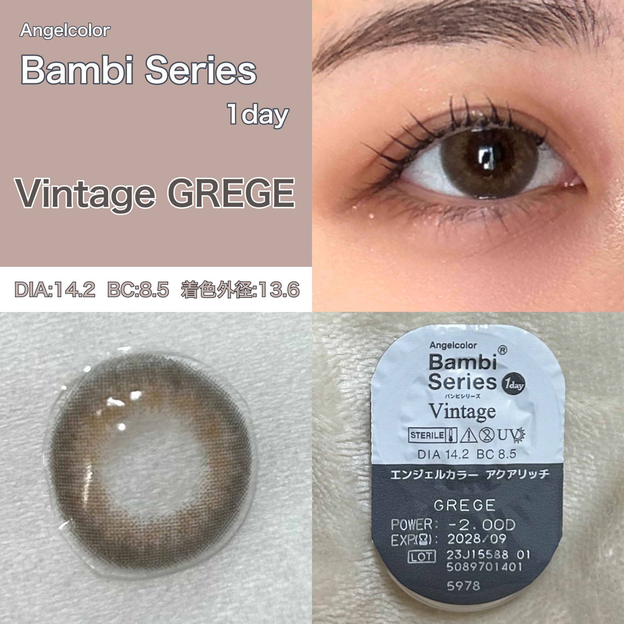 Angelcolor Bambi Series Vintage 1day ヴィンテージグレージュ/AngelColor/ワンデー（１DAY）カラコンを使ったクチコミ（1枚目）
