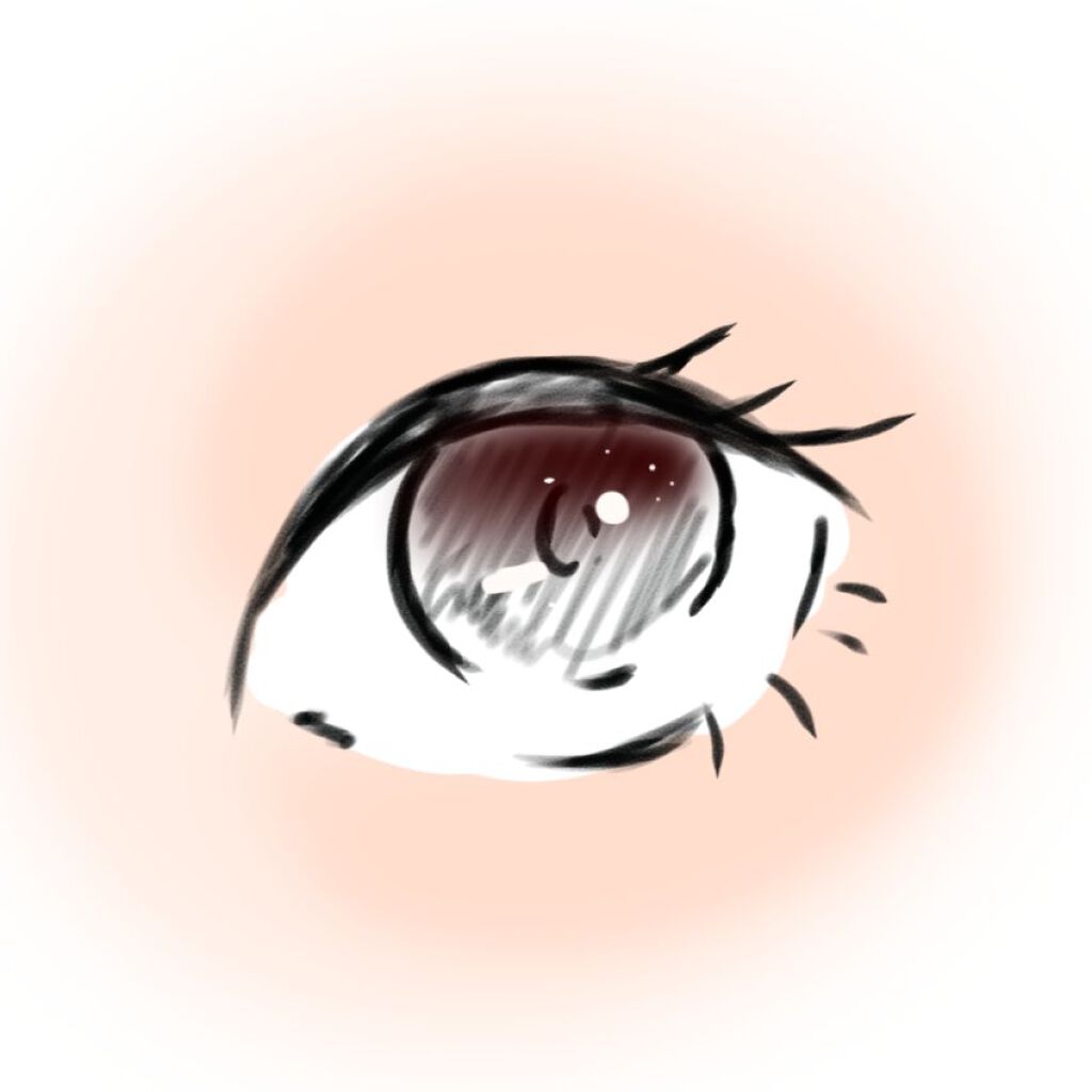 クイックラッシュカーラー/キャンメイク/マスカラ下地を使ったクチコミ（2枚目）