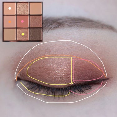 The Bella collection eyeshadow palette/CELEFIT/アイシャドウパレットを使ったクチコミ（9枚目）