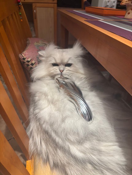 リファイオンケアブラシ/ReFa/スカルプブラシを使ったクチコミ(4枚目)