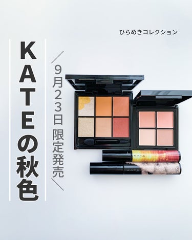 キャンバスペイントパレット/KATE/アイシャドウパレットを使ったクチコミ（1枚目）