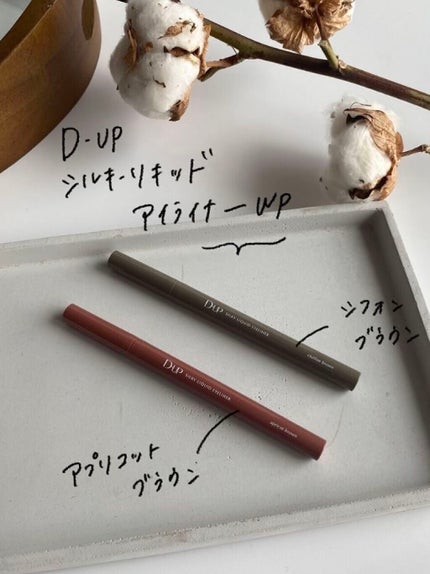 シルキーリキッドアイライナーWP/D-UP/リキッドアイライナーを使ったクチコミ(2枚目)