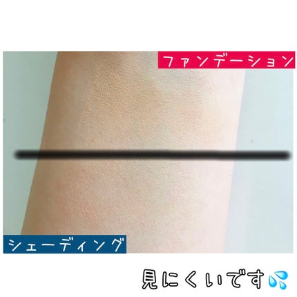 パウダー ファウンデイション N 101/IPSA/パウダーファンデーションの画像