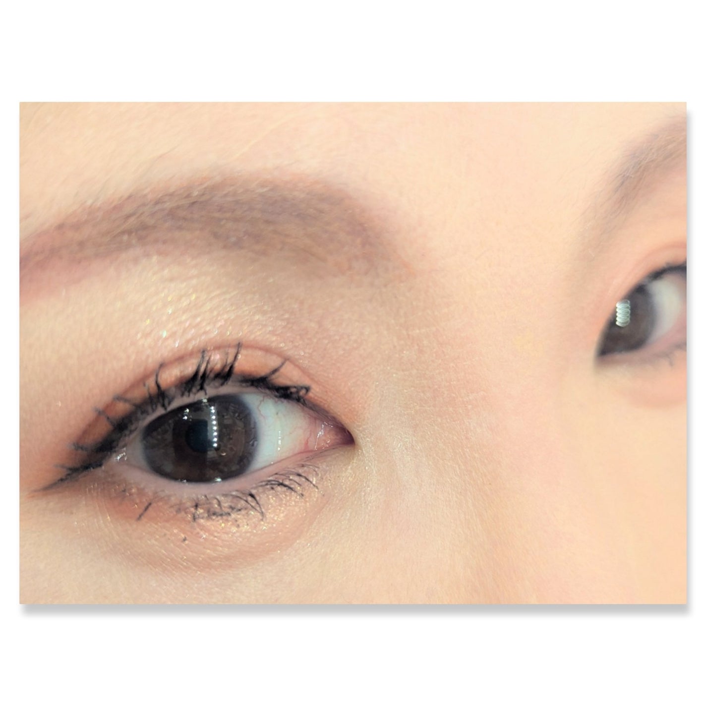 ZEESEAx正宮御品 「盛唐酔夢」シリーズ 丹酔金箔 牡丹チークシャッドパレット/ZEESEA/パウダーチークを使ったクチコミ(2枚目)