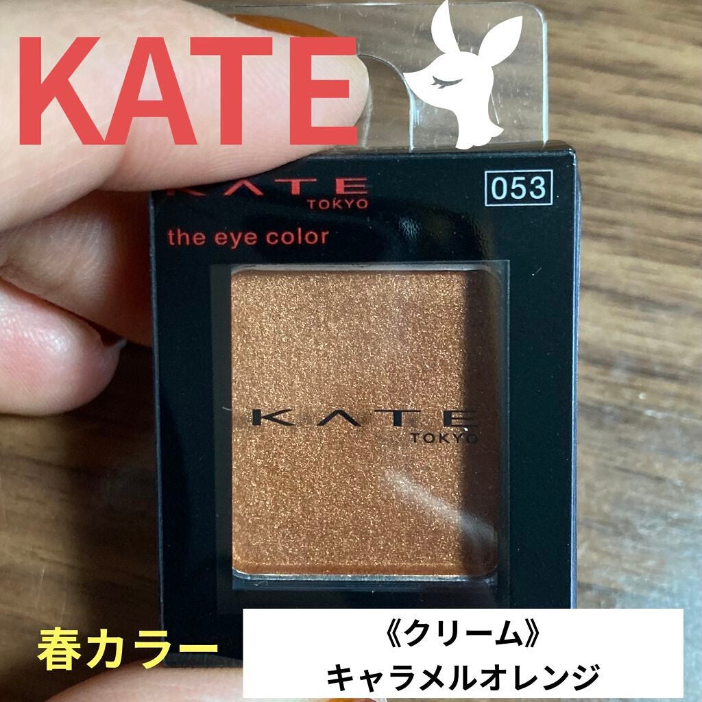 ケイト ザ アイカラー/KATE/単色アイシャドウを使ったクチコミ(1枚目)