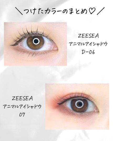 Lien on LIPS 「ZESSEAのアイシャドウ買ってみた🐕🐈/パケ買いしたよ🌸ワン..」(7枚目)