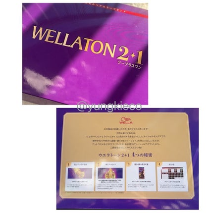 ウエラトーン ツープラスワン クリームタイプ/ウエラ/ヘアカラーを使ったクチコミ(3枚目)