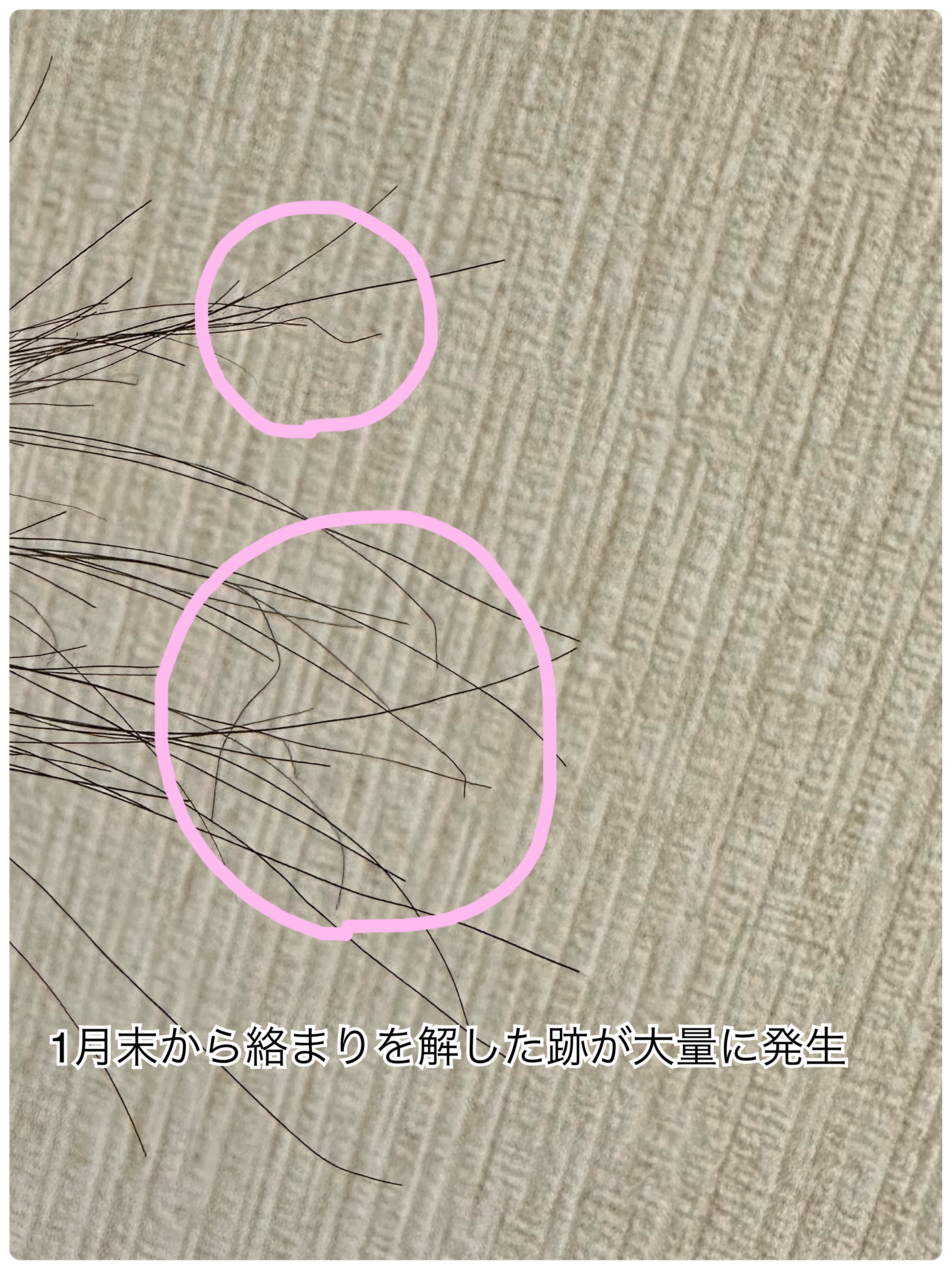 スムーススパ ヘアオイル/claynal/ヘアオイルを使ったクチコミ（3枚目）