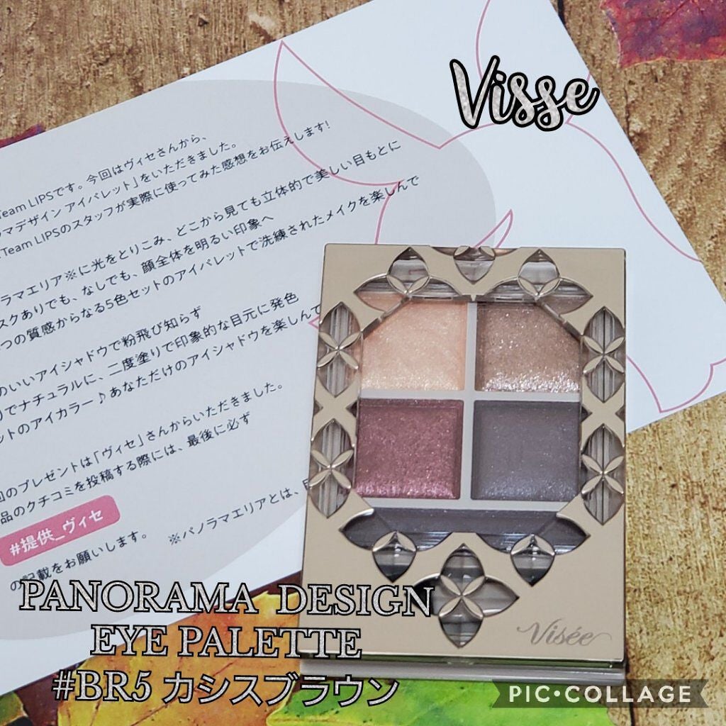 パノラマデザイン アイパレット/Visée/アイシャドウパレットを使ったクチコミ(1枚目)