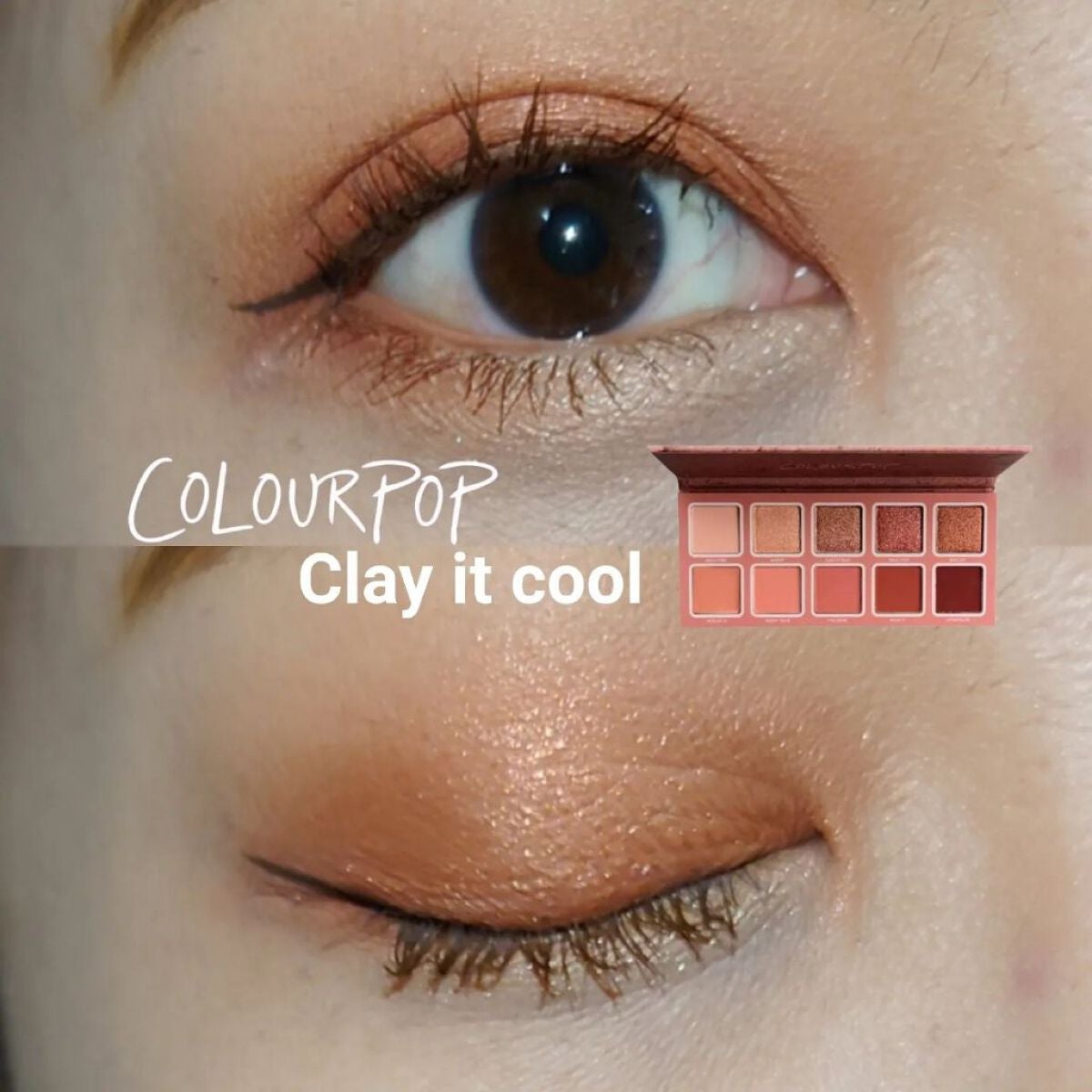 Clay it cool/ColourPop/アイシャドウパレットを使ったクチコミ(1枚目)