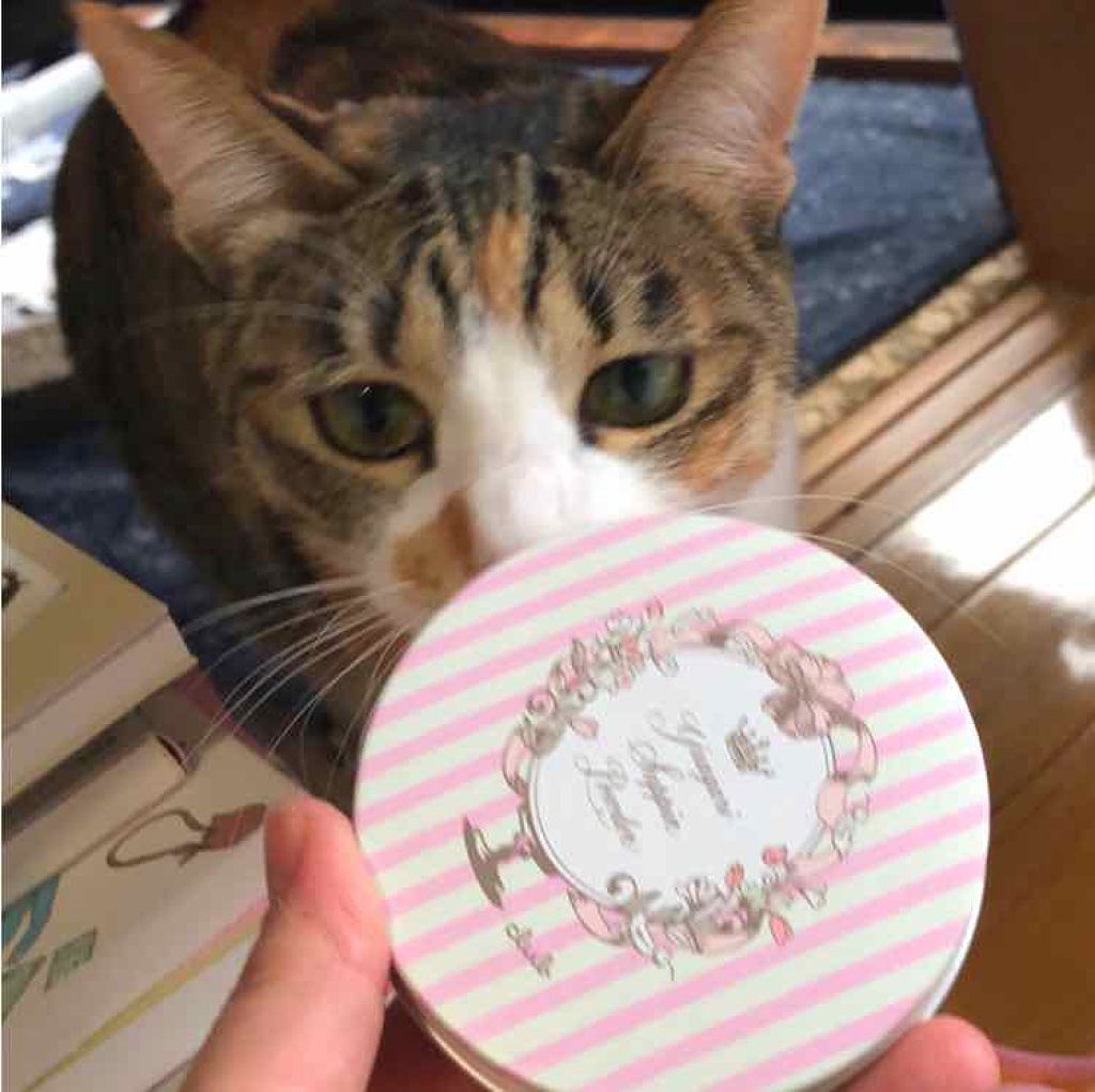 すっぴんパウダー/クラブ/プレストパウダーを使ったクチコミ(1枚目)