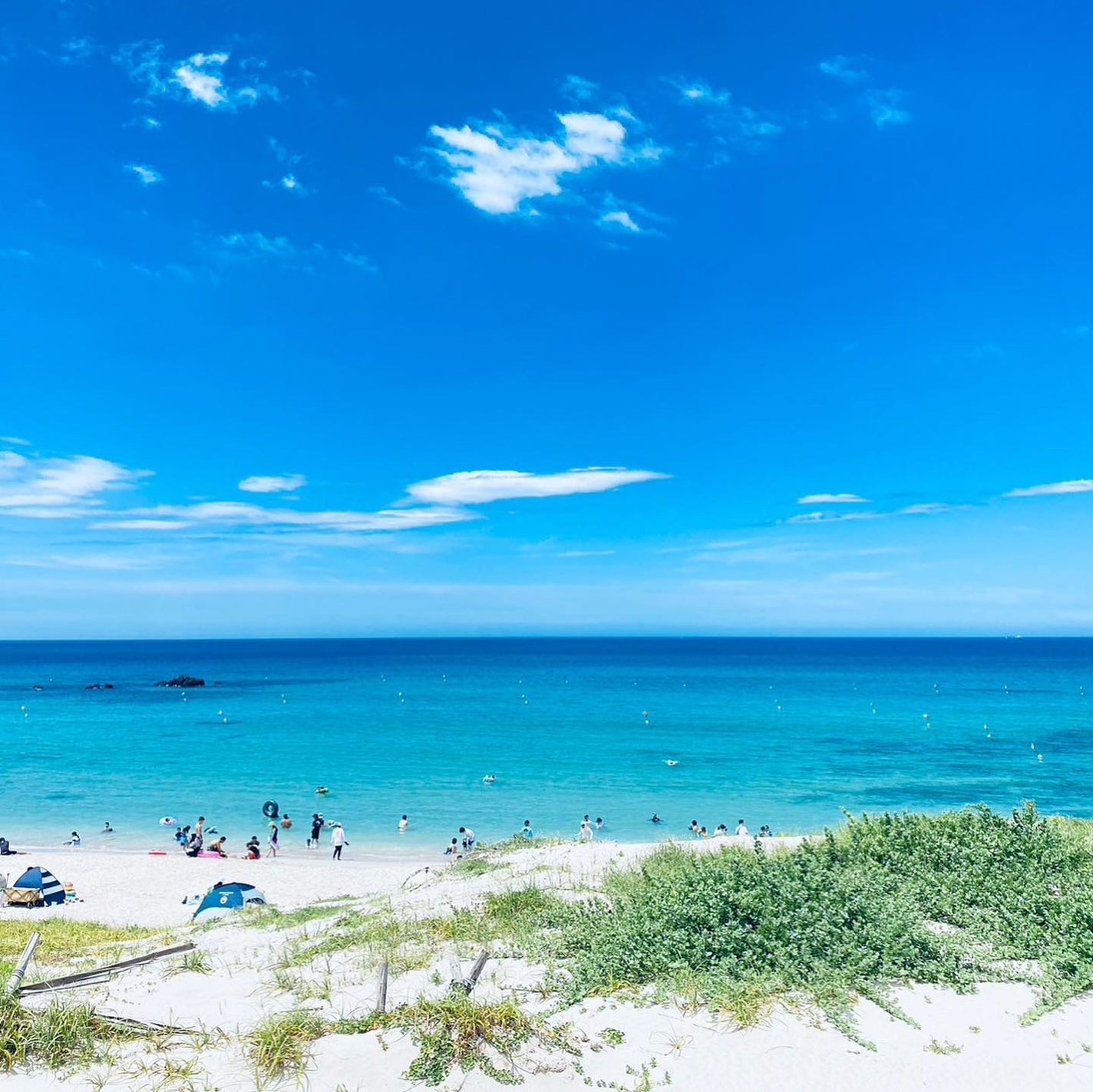 ウィークリージェル/HOMEI/ジェルネイルを使ったクチコミ(9枚目)