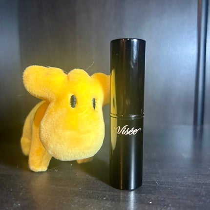 ネンマクフェイク ルージュ/Visée/口紅を使ったクチコミ(1枚目)