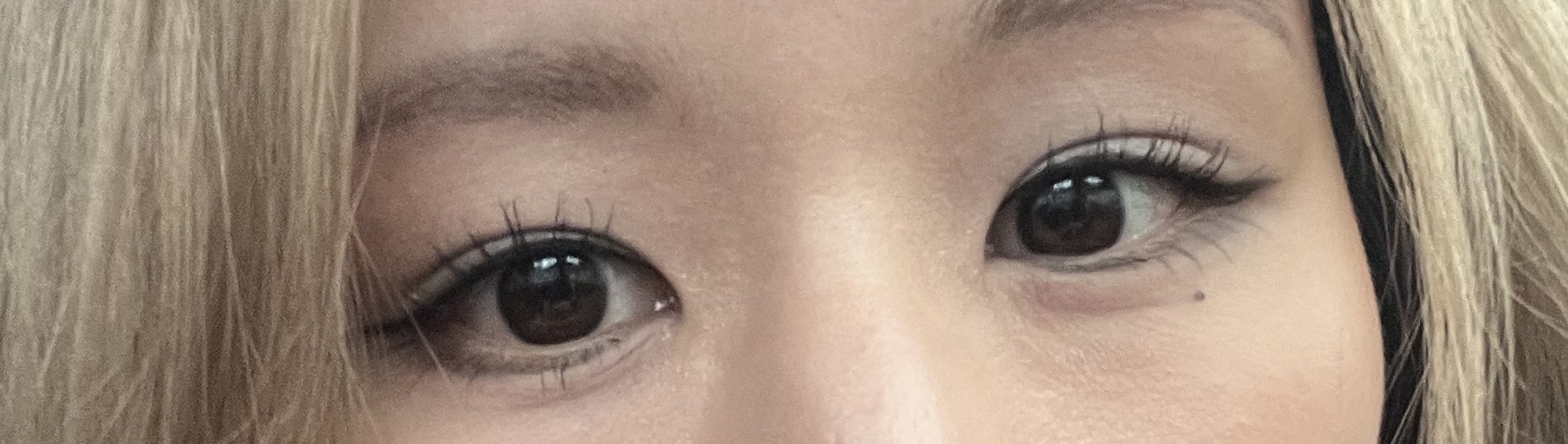 リキッドアイライナーR4 モカグレージュ/ラブ・ライナー/リキッドアイライナーを使ったクチコミ（3枚目）