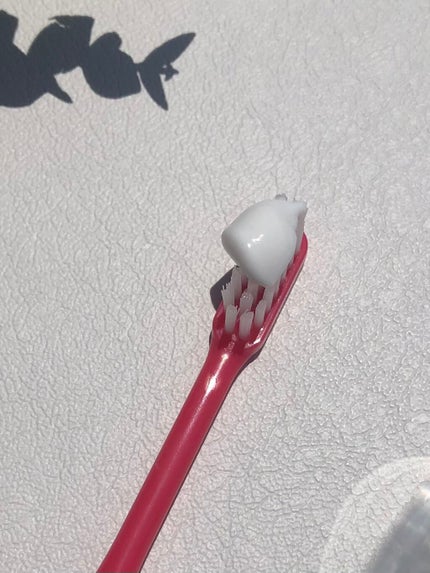 ヤクルト 薬用アパコート S.E.<ナノテクノロジー>/ヤクルト ビューティエンス/歯磨き粉を使ったクチコミ(3枚目)