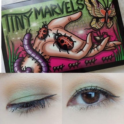 Tiny Marvels Palette/Sydney Grace/アイシャドウパレットを使ったクチコミ(1枚目)