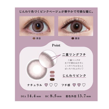 Angelcolor Bambi Series 1day  ローズベージュ(WEB限定カラー)