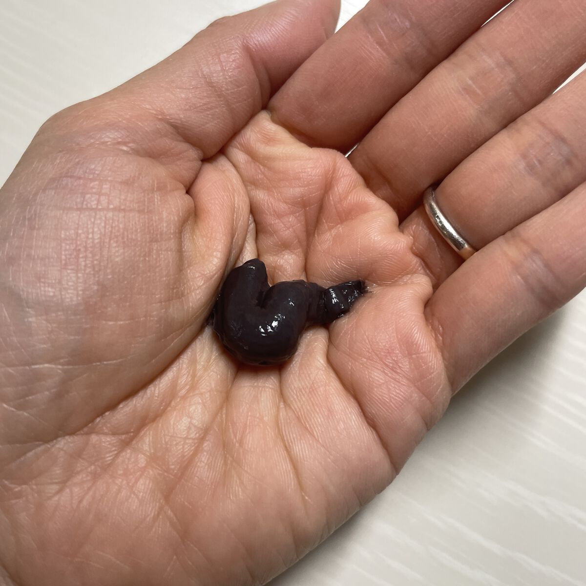 ブラッククリームシャンプー/creme de Ann/市販シャンプーを使ったクチコミ（2枚目）