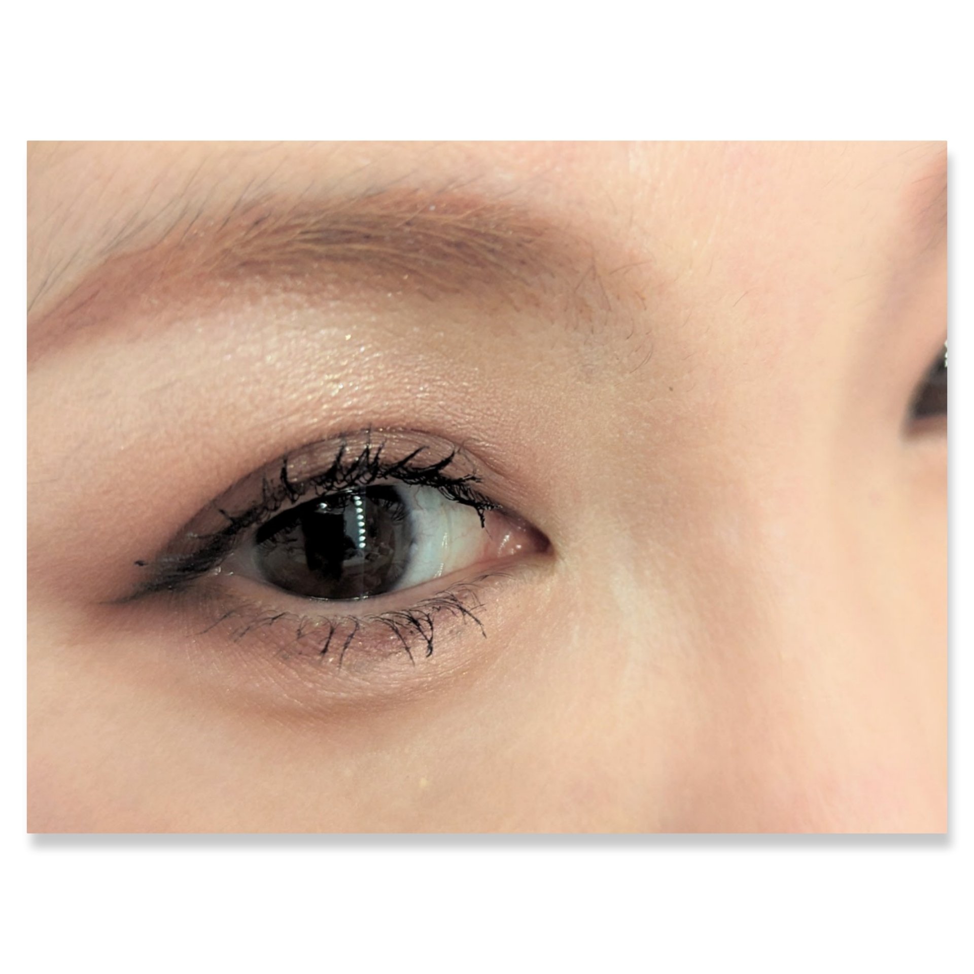 デザイニングブラウンアイズ/KATE/アイシャドウパレットを使ったクチコミ（2枚目）