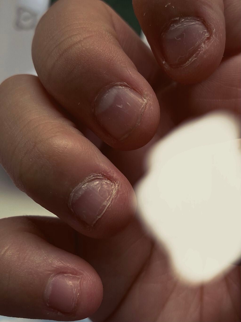 フラワーネイルオイル N/JILL STUART/ネイルオイル・トリートメントを使ったクチコミ(2枚目)