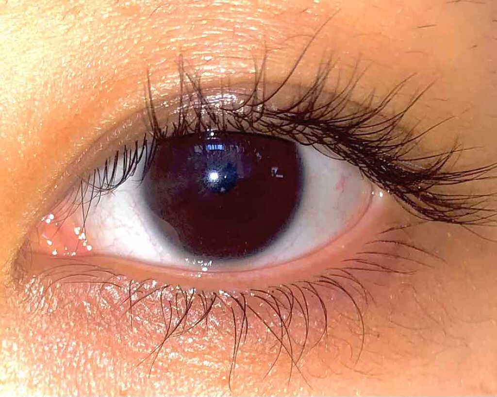 エグータム/アルマダスタイル/まつげ美容液を使ったクチコミ（2枚目）