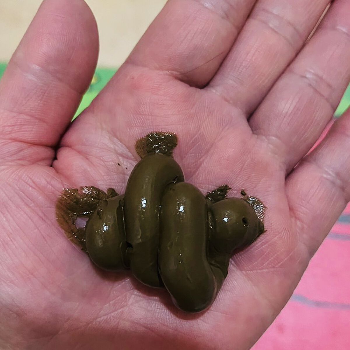 クレムドアン ブラウンクリームシャンプー/creme de Ann/市販シャンプーを使ったクチコミ（3枚目）