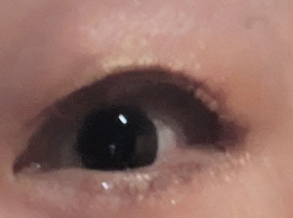 アイライナー/Étoile Rose/リキッドアイライナーを使ったクチコミ（2枚目）