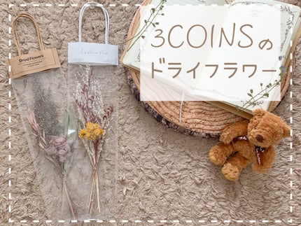 ドライフラワー/3COINS/その他を使ったクチコミ(1枚目)