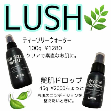 ティーツリーウォーター/ラッシュ/ミスト状化粧水を使ったクチコミ(1枚目)