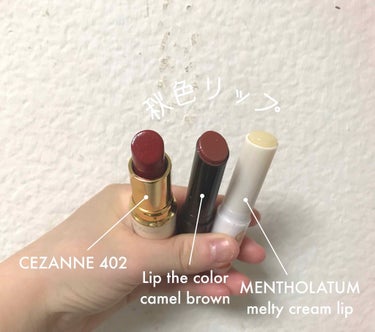 フツウちゃん on LIPS 「私の最近ハマっている秋色リップ💄今年はブラウンリップにも挑戦し..」（1枚目）