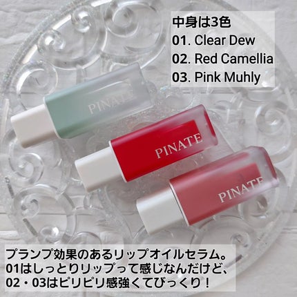 ナチュラルブルームリップオイルセラム 3色セット/PINATE/リップグロスを使ったクチコミ(3枚目)