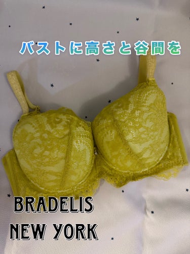 BRADELIS New York
ブラデリス ベルステップ2ブラ23A1

バストに高さと谷間を

かれこれ10年ほど愛用しているBRADELIS New York。補正下着でデザインがめちゃくちゃ可