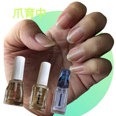 pa プラス ピールオフベースコート/pa nail collective/ネイルトップコート・ベースコートを使ったクチコミ（1枚目）