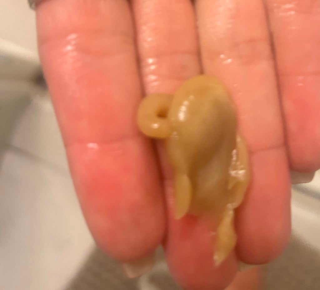 パレルマ シャンプー/ヘアトリートメント/PALERMA/市販シャンプーを使ったクチコミ(3枚目)