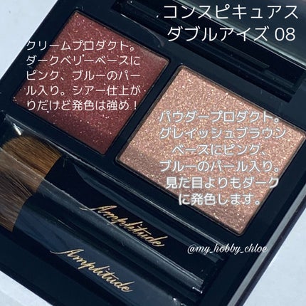 コンスピキュアス ダブルアイズ/Amplitude/アイシャドウパレットを使ったクチコミ(2枚目)