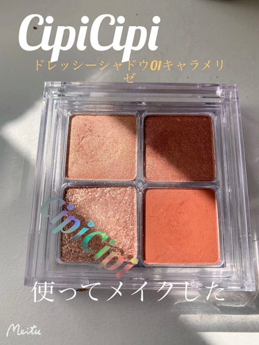 ドレッシーシャドウR/CipiCipi/アイシャドウパレットを使ったクチコミ（1枚目）