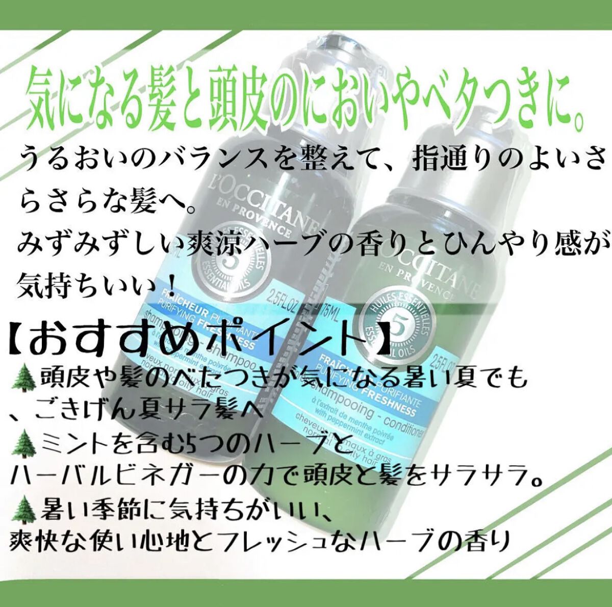 ファイブハーブス ピュアフレッシュネス シャンプー／コンディショナー シャンプー75ml/L'OCCITANE/市販シャンプーを使ったクチコミ（2枚目）