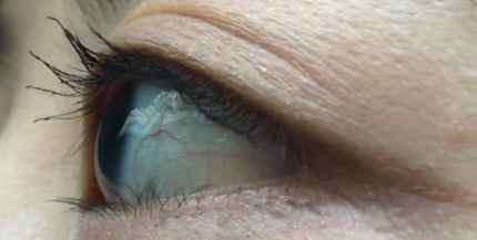 マイカスタムマスカラ /KATE/マスカラを使ったクチコミ(4枚目)