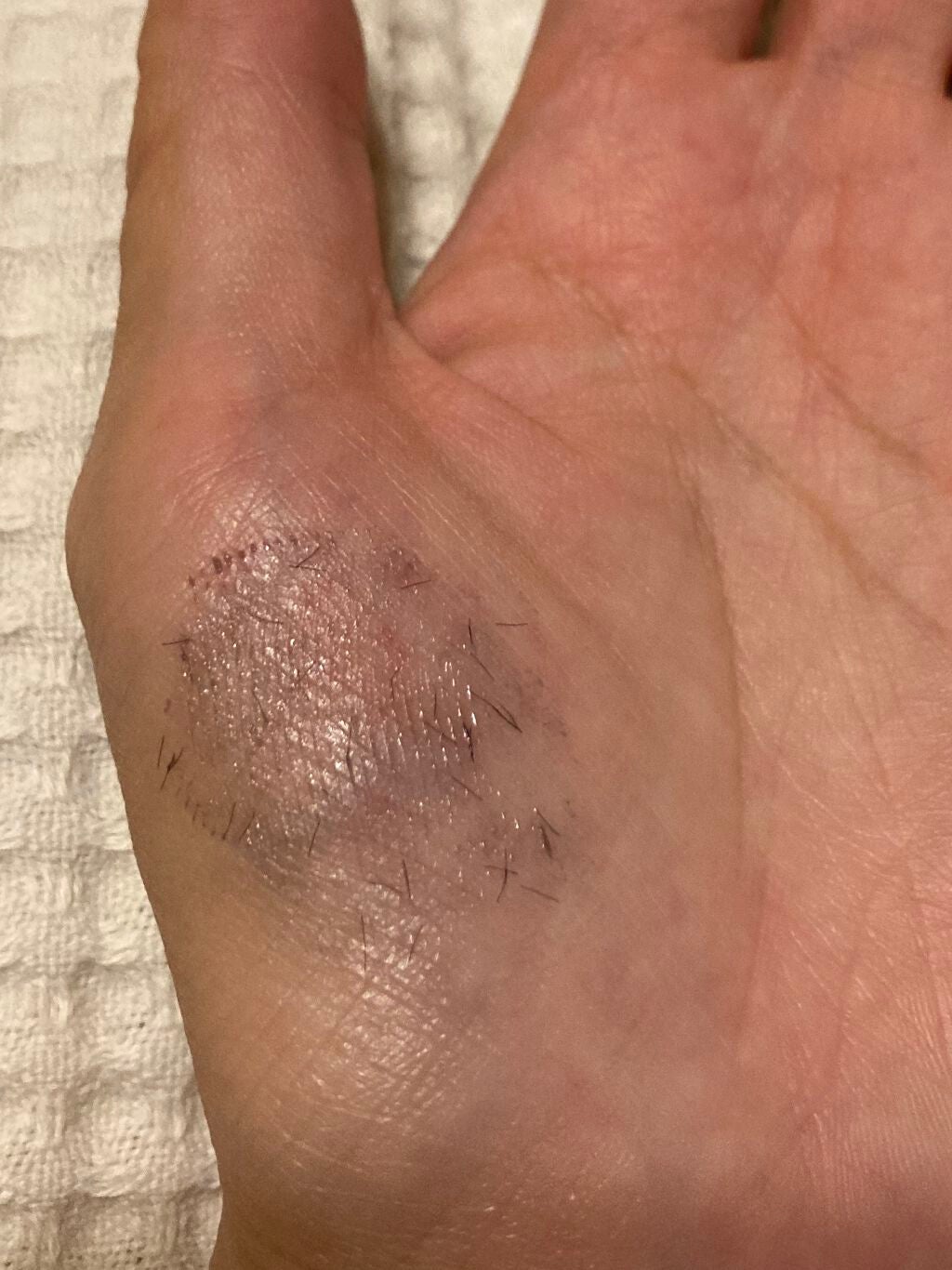 エテュセ アイエディション (マスカラベース)/ettusais/マスカラ下地を使ったクチコミ(2枚目)