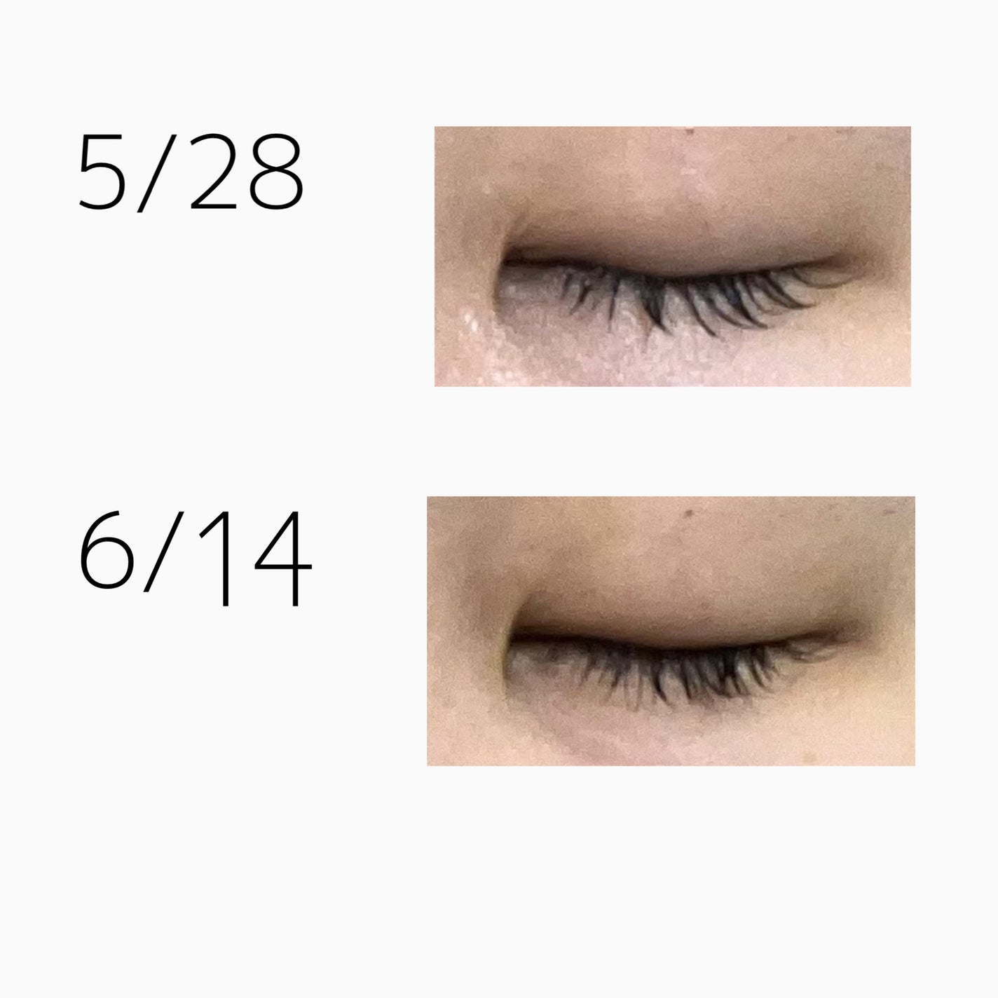 ロングアクティブアイラッシュセラム/COSNORI/まつげ美容液を使ったクチコミ(2枚目)