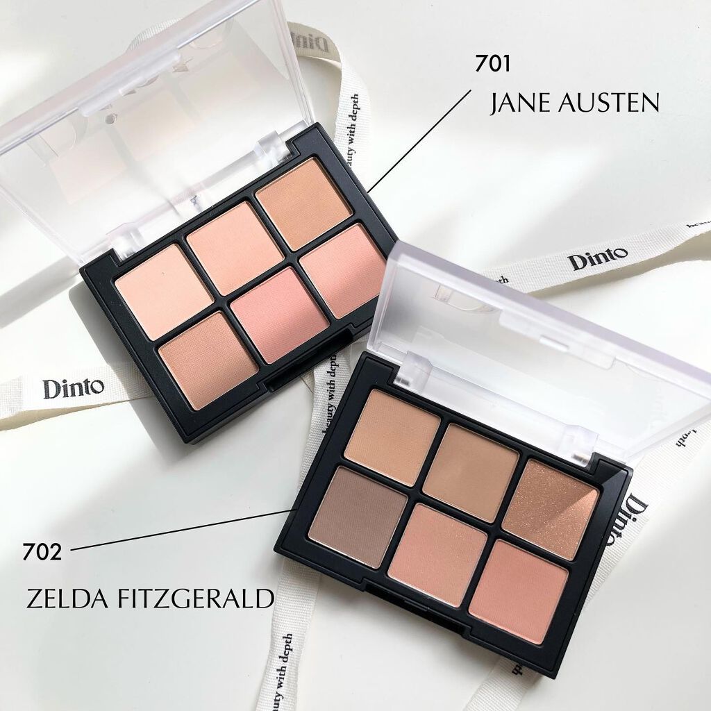 ブラーフィニシュシャドウパレット/Dinto/アイシャドウパレットを使ったクチコミ（2枚目）