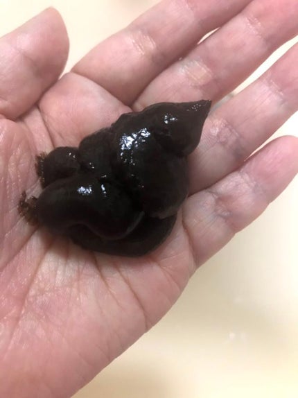 カラートリートメント/サイオス/ヘアカラーを使ったクチコミ(2枚目)