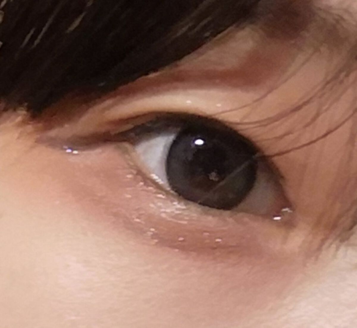 パールグロウハイライト/CEZANNE/パウダーハイライトを使ったクチコミ（1枚目）