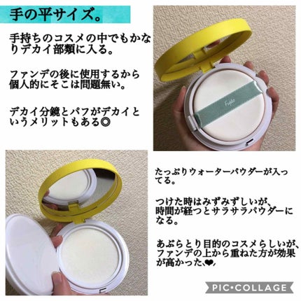 フジコあぶらとりウォーターパウダー/Fujiko/プレストパウダーを使ったクチコミ(2枚目)